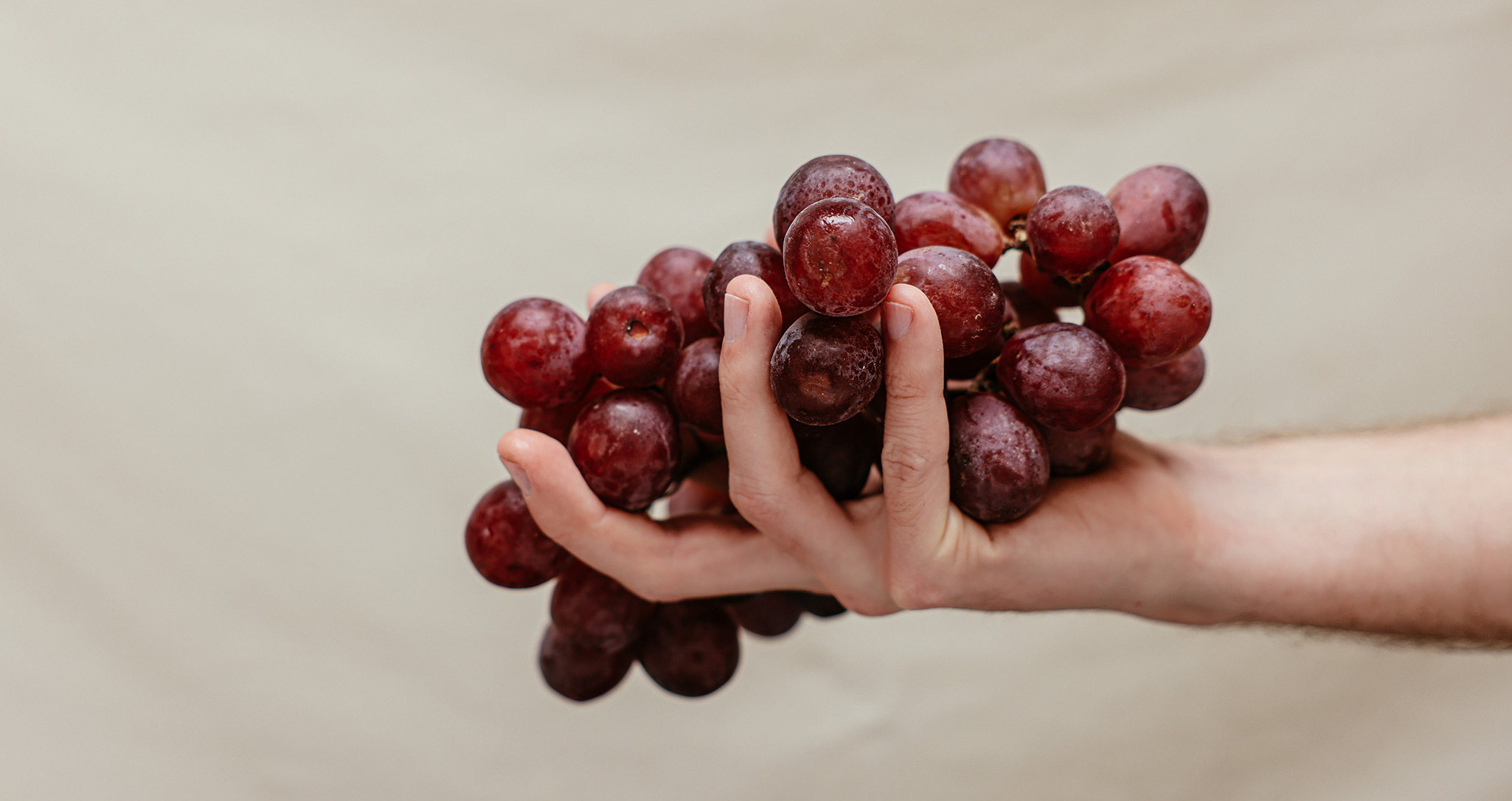 Resveratrol supplement for anti ageing
