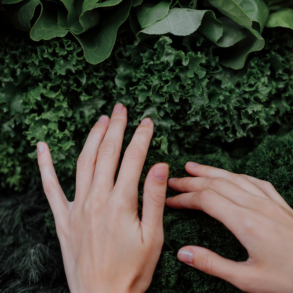 best anii-ageing beauty foods