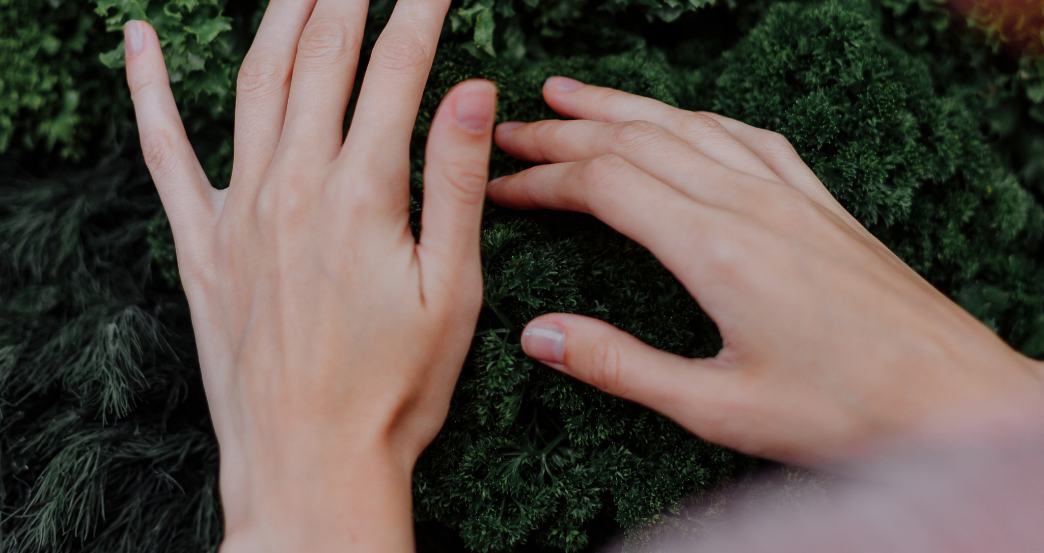leafy greens beauty foods
