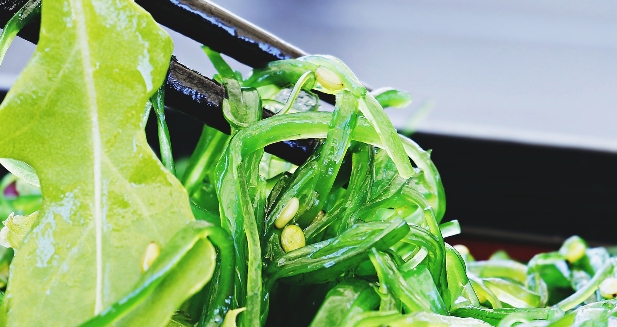 seaweed salad